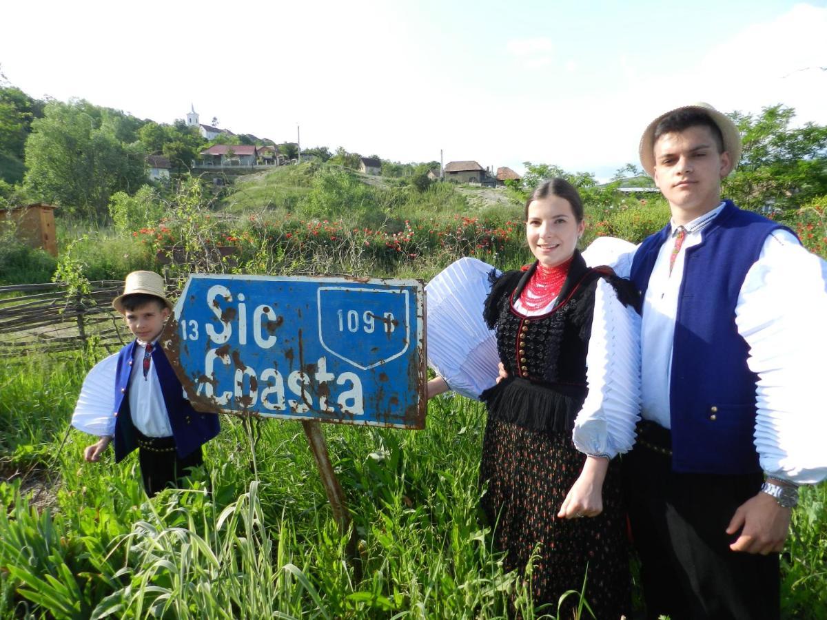 Csipkeszeg Bed & Breakfast Sic / Szek Romania Exterior photo